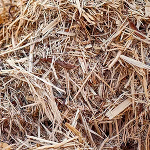 Щепа для арболита оптом в Братске и других различных марок заказать от 16 тонн